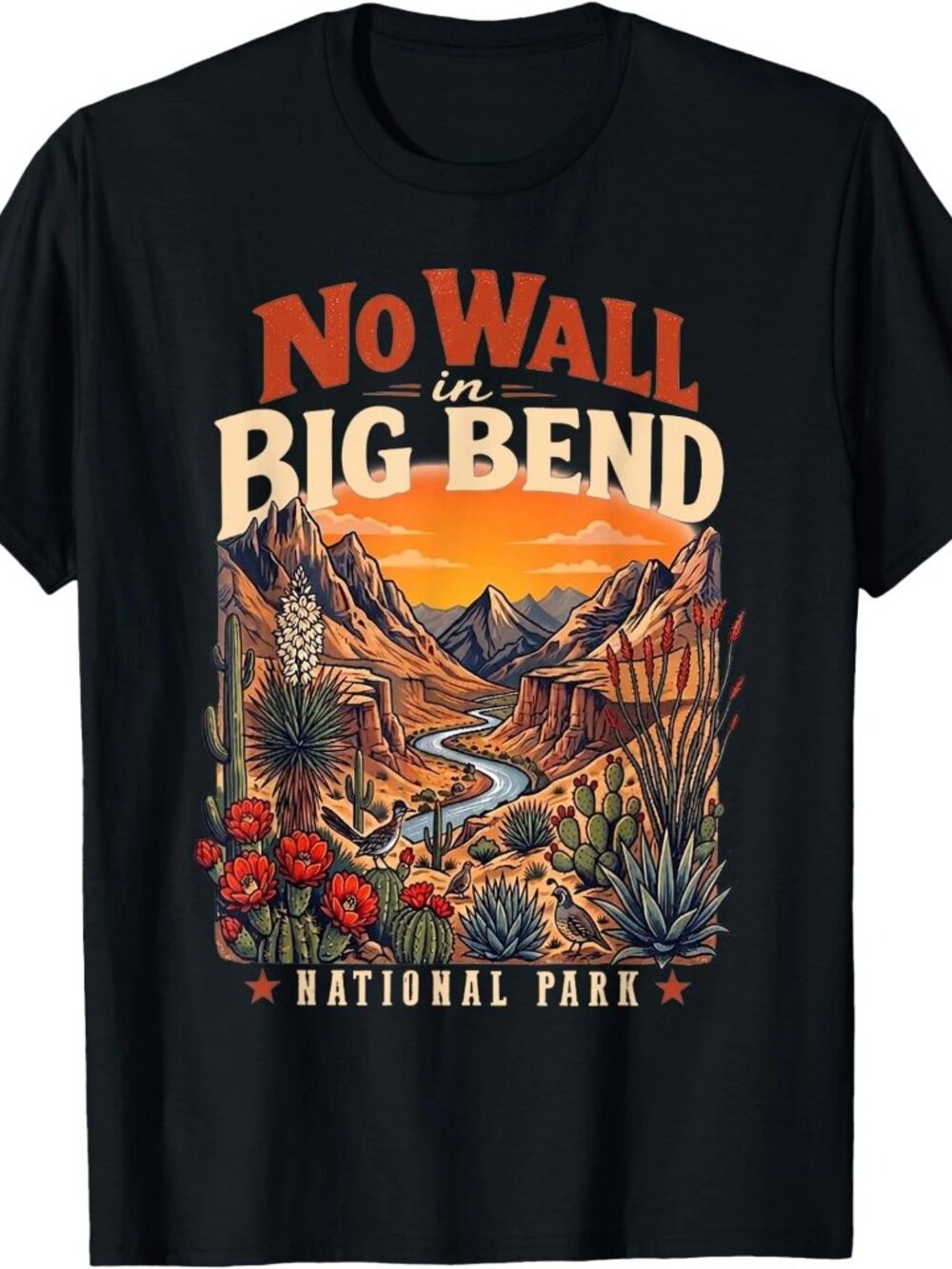 No Wall in Big Bend National Park T-Shirt